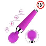 FCJ Vibrateur Clitoridien Femelle - USB - Violet