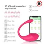 Vibromasseur Sans Fil Bluetooth G-Spot Gode Sex Toys Pour Femmes Adultes